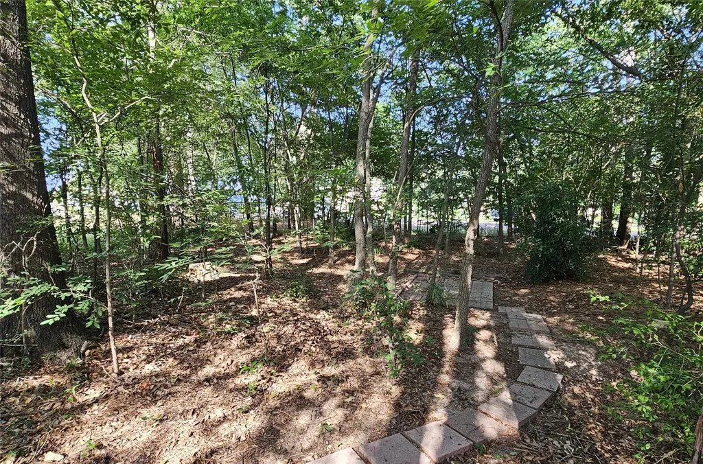 529 Wildewood Drive Chandler TX 75758