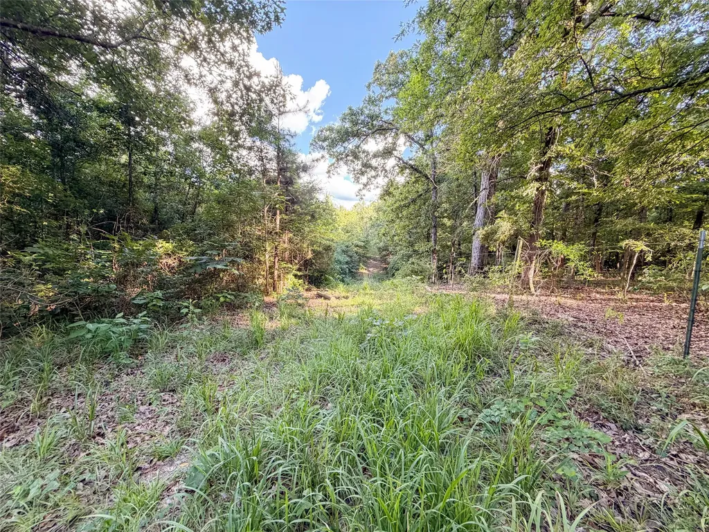 9822 Nasturtium Road Ore City TX 75683