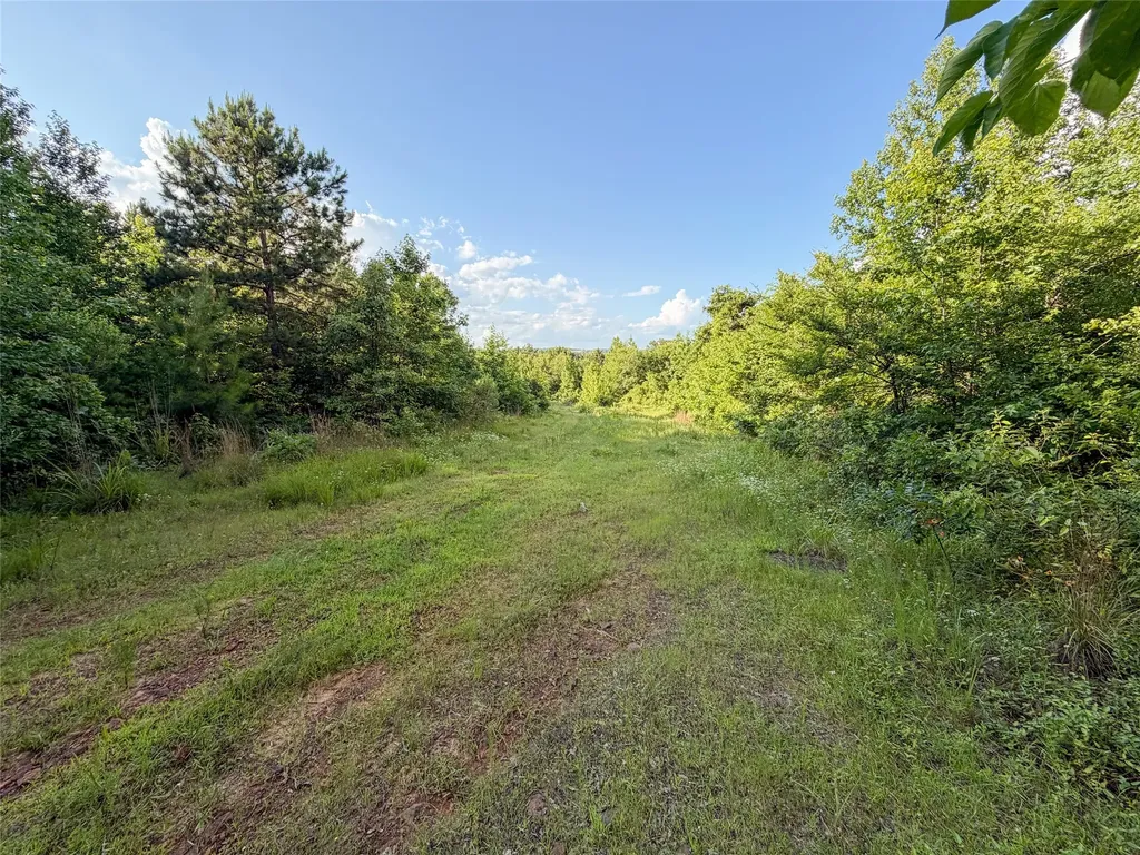 9822 Nasturtium Road Ore City TX 75683