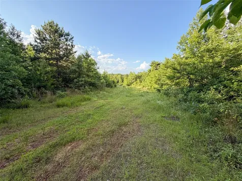 9822 Nasturtium Road Ore City TX 75683