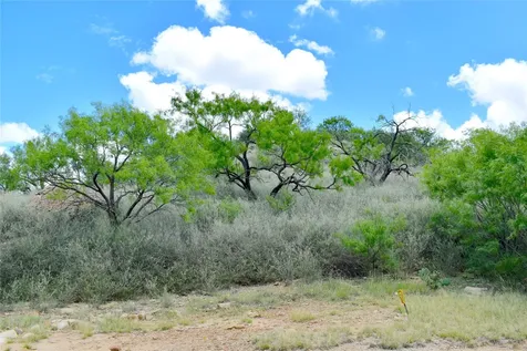 Tbd E Fm 576 Breckenridge TX 76434