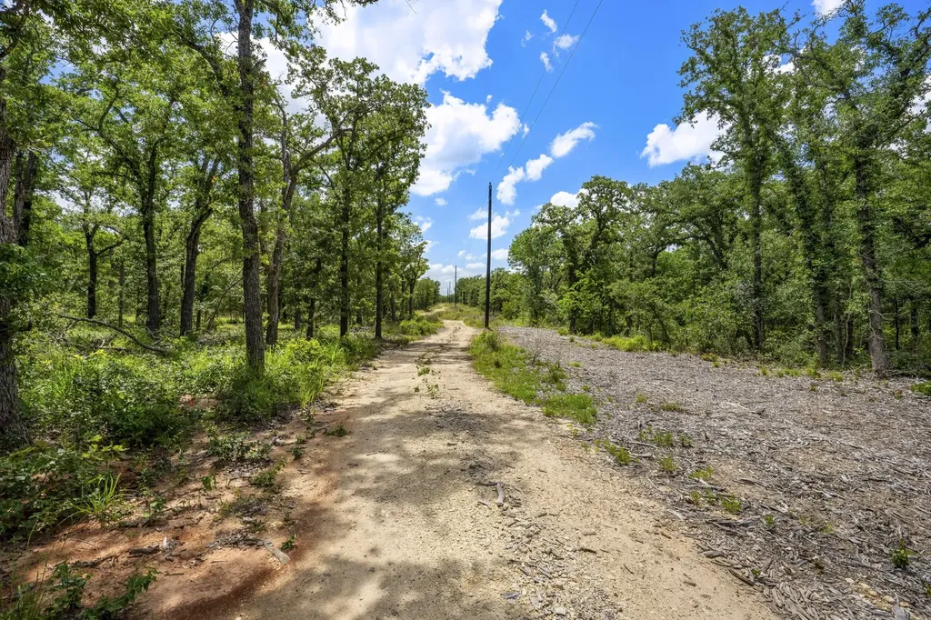 868 County Road 405 Buckholts TX 76518