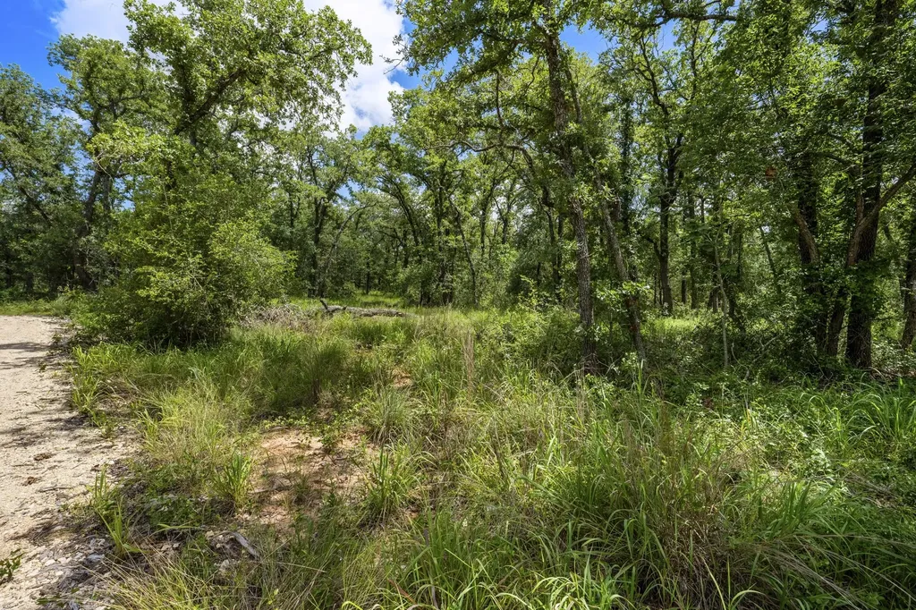 868 County Road 405 Buckholts TX 76518