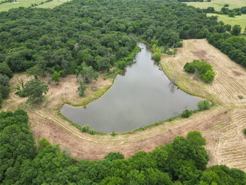 Tbd County Road 3371 Saltillo TX 75478