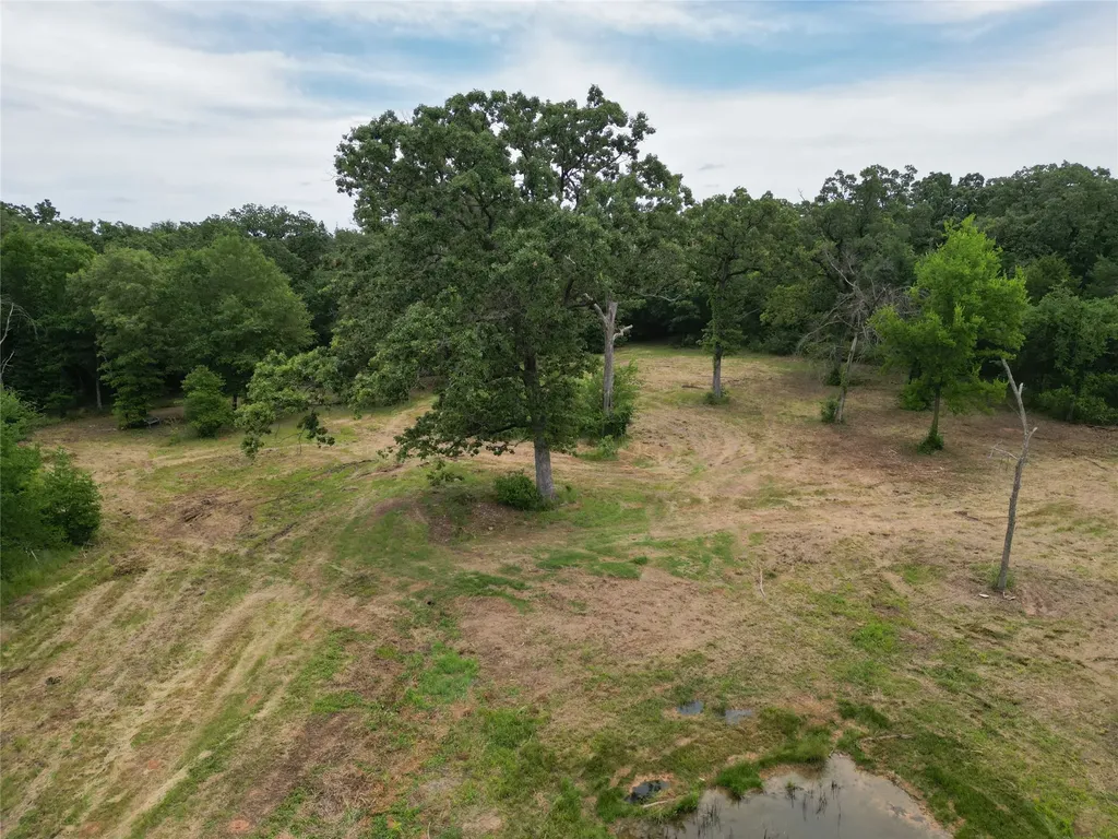 Tbd County Road 3371 Saltillo TX 75478