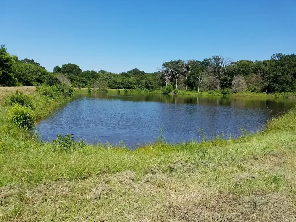 Tbd County Road 3371 Saltillo TX 75478