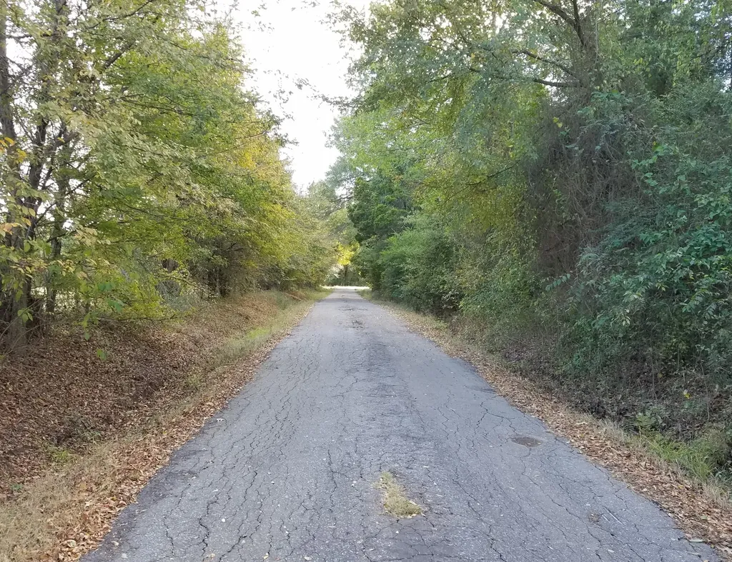Tbd County Road 3371 Saltillo TX 75478