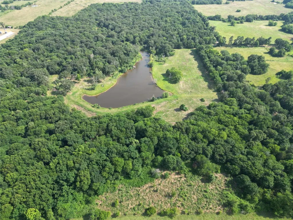 Tbd County Road 3371 Saltillo TX 75478