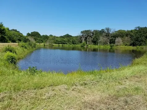 Tbd County Road 3371 Saltillo TX 75478