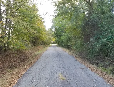 Tbd County Road 3371 Saltillo TX 75478