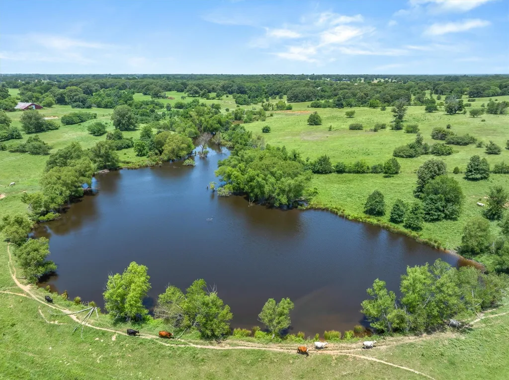 3300 Vz Cr 1903 Edgewood TX 75117