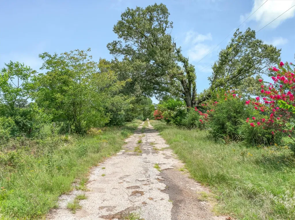 3300 Vz County Road 1903 Edgewood TX 75117