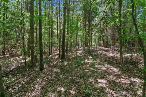 Tbd County Road 3363 De Berry TX 75639