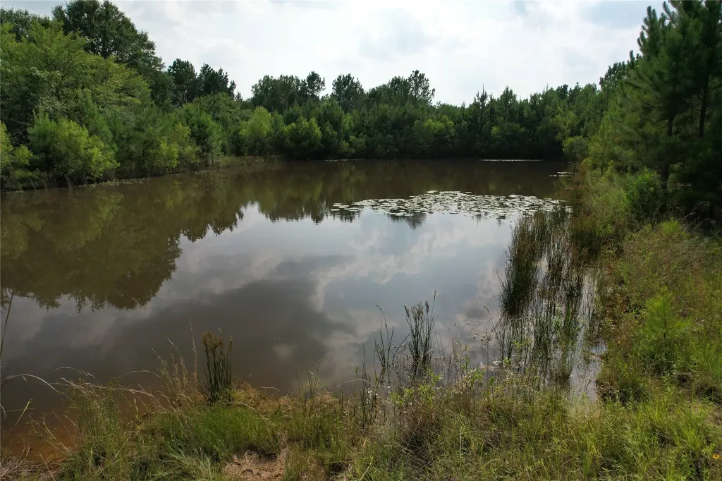 1847 N State Highway 19 Highway Emory TX 75440
