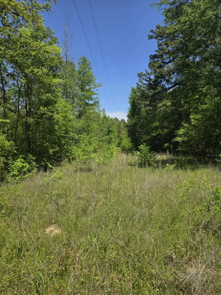 Tbd County Road 421 Tyler TX 75704