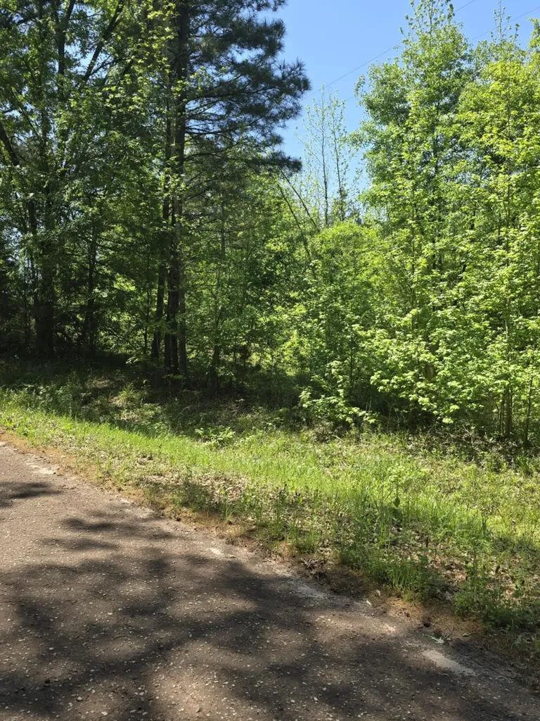Tbd County Road 421 Tyler TX 75704