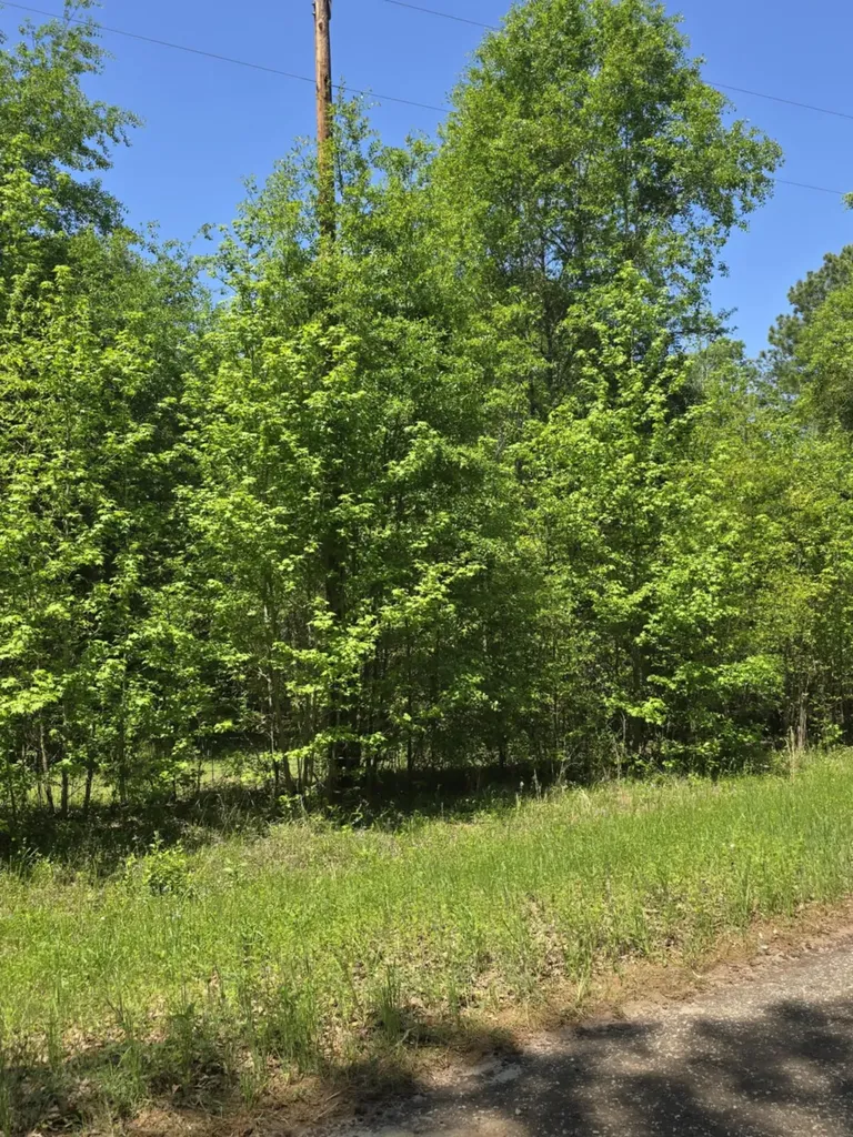 Tbd County Road 421 Tyler TX 75704