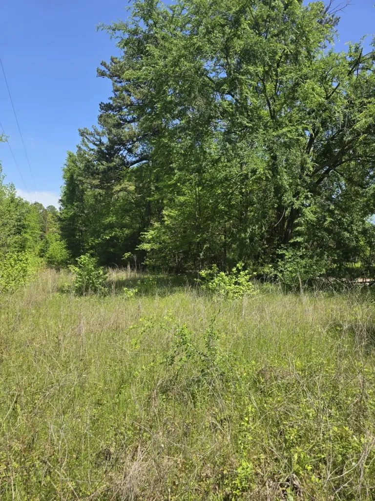 Tbd County Road 421 Tyler TX 75704