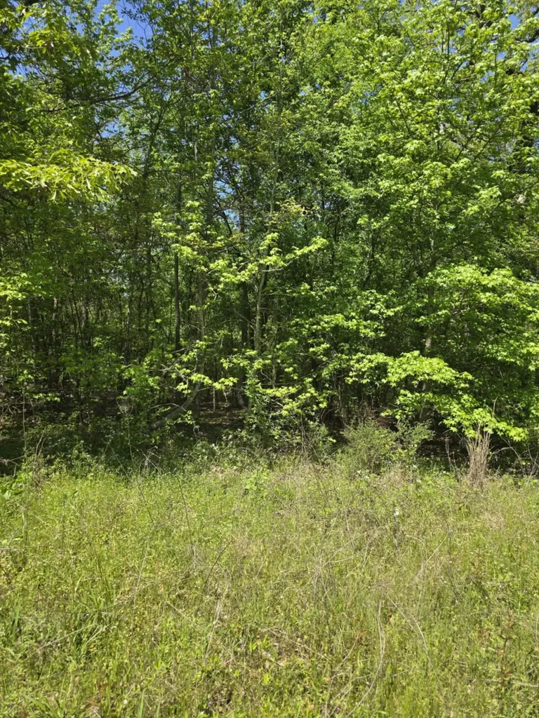 Tbd County Road 421 Tyler TX 75704