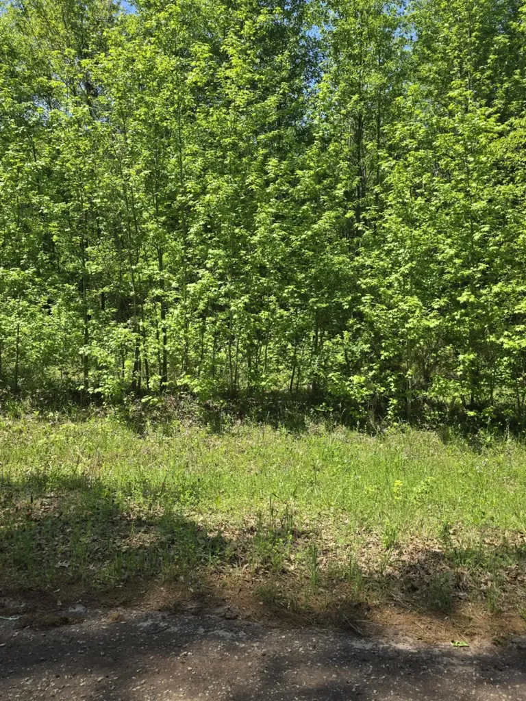 Tbd County Road 421 Tyler TX 75704