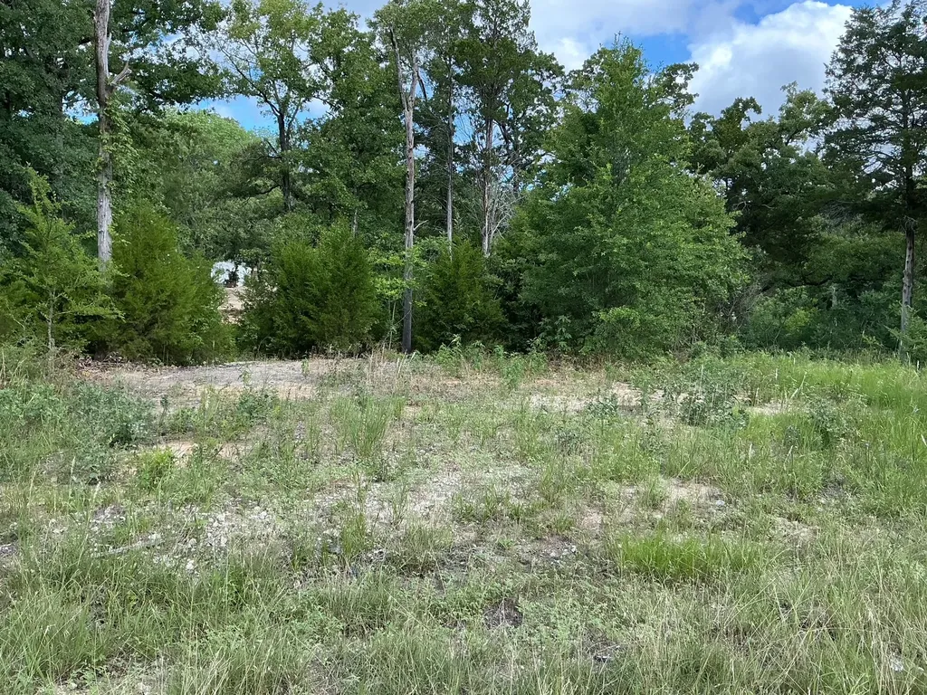 175 Chillacothe Trail Mabank TX 75156