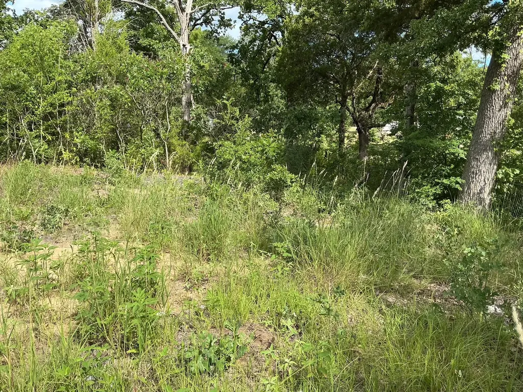 175 Chillacothe Trail Mabank TX 75156