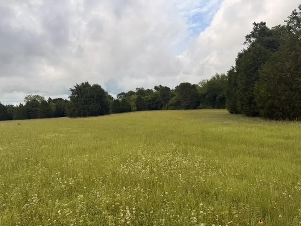 Tbd County Road 2500 Eustace TX 75124