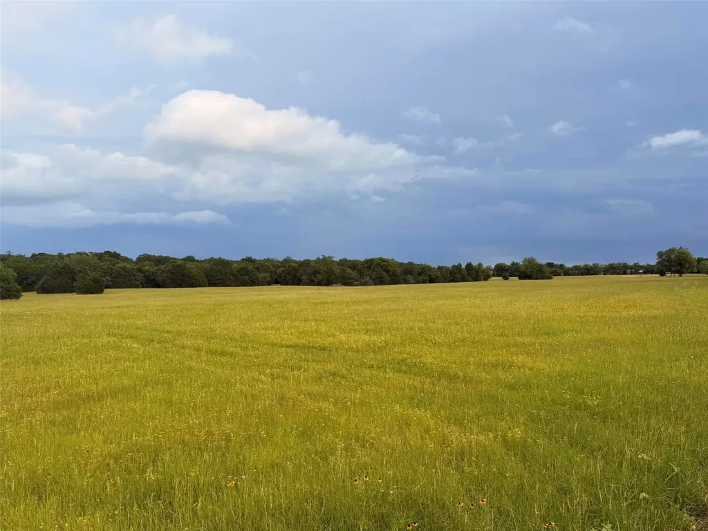 Tbd County Road 2500 Eustace TX 75124