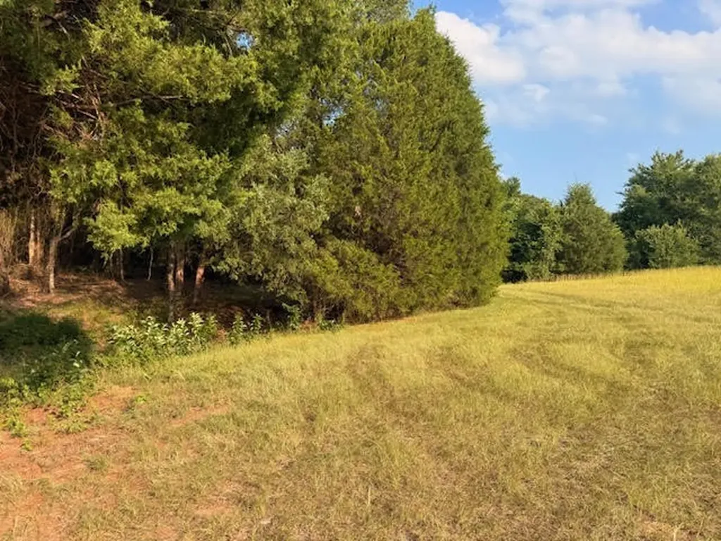 Tbd County Road 2500 Eustace TX 75124
