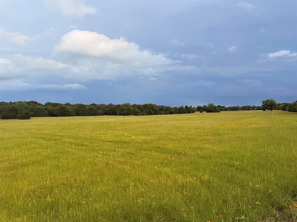 Tbd County Road 2500 Eustace TX 75124