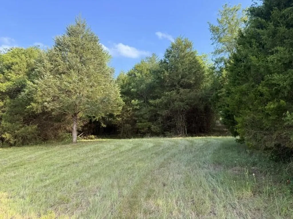 Tbd County Road 2500 Eustace TX 75124