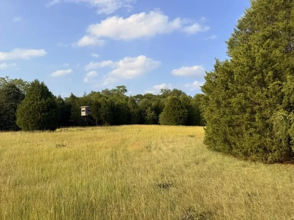 Tbd County Road 2500 Eustace TX 75124