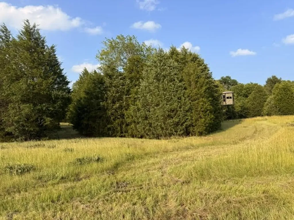 Tbd County Road 2500 Eustace TX 75124
