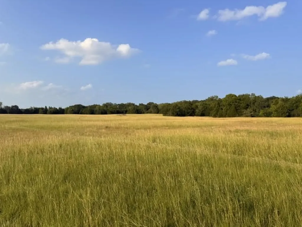 Tbd County Road 2500 Eustace TX 75124