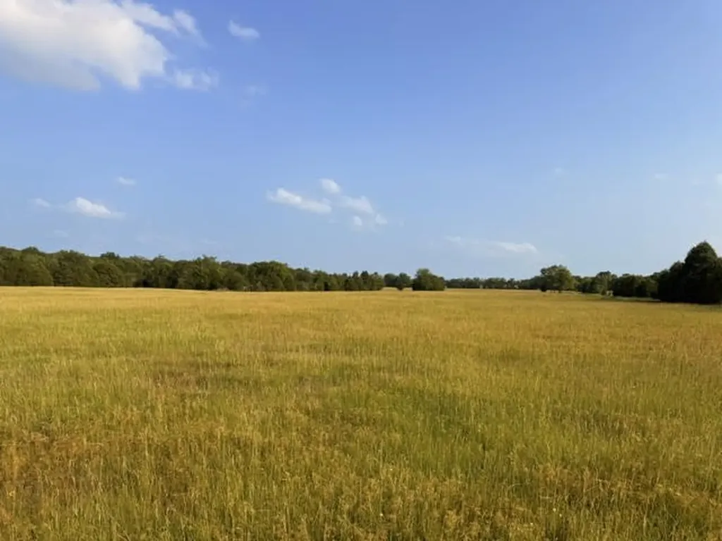 Tbd County Road 2500 Eustace TX 75124