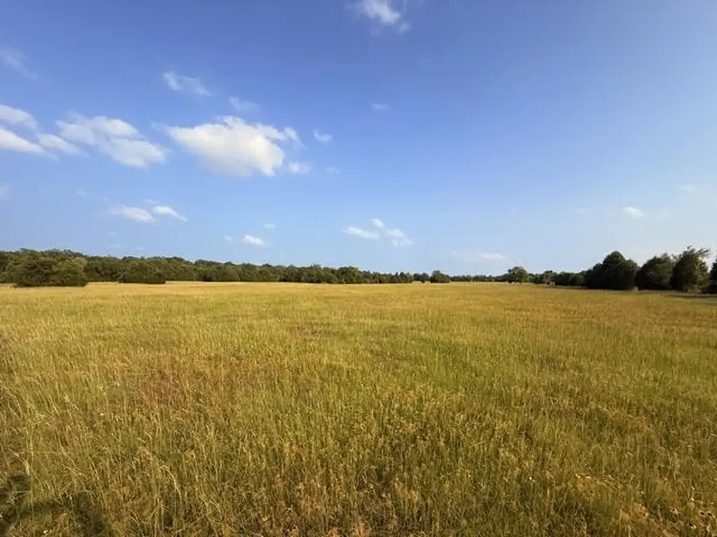 Tbd County Road 2500 Eustace TX 75124