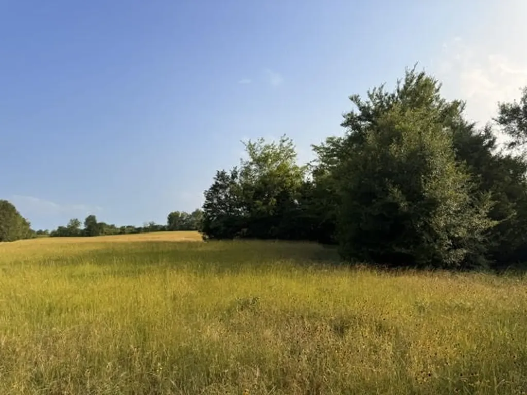 Tbd County Road 2500 Eustace TX 75124