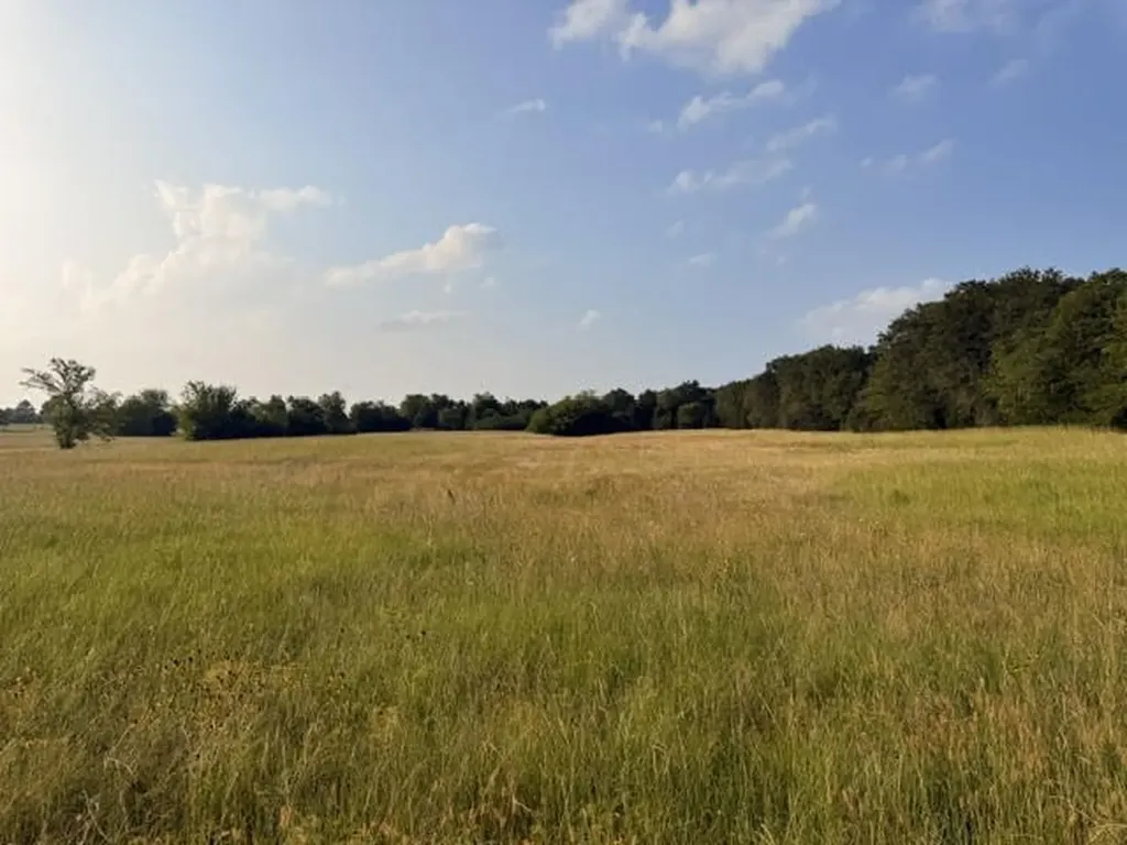 Tbd County Road 2500 Eustace TX 75124