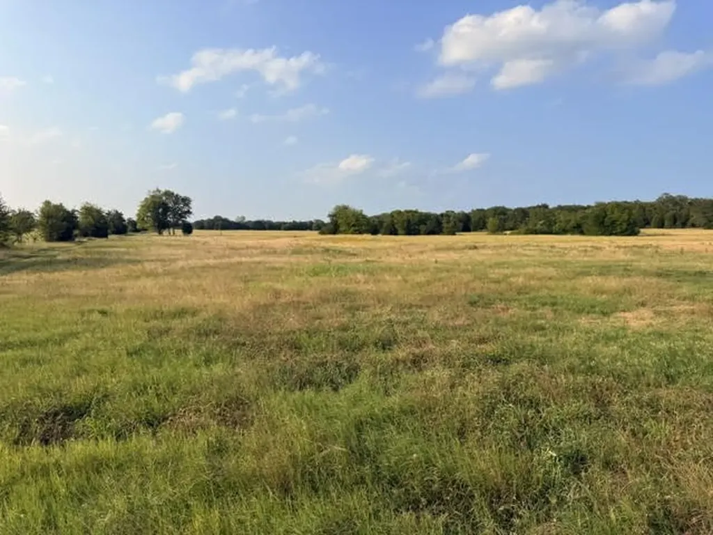 Tbd County Road 2500 Eustace TX 75124