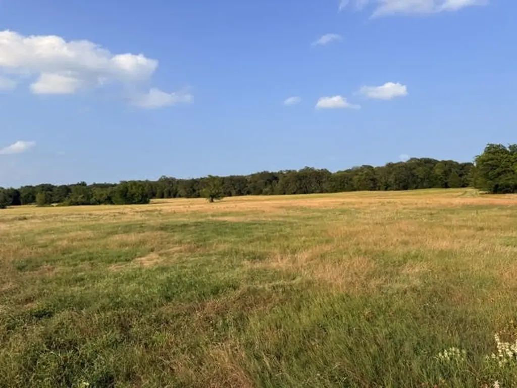 Tbd County Road 2500 Eustace TX 75124