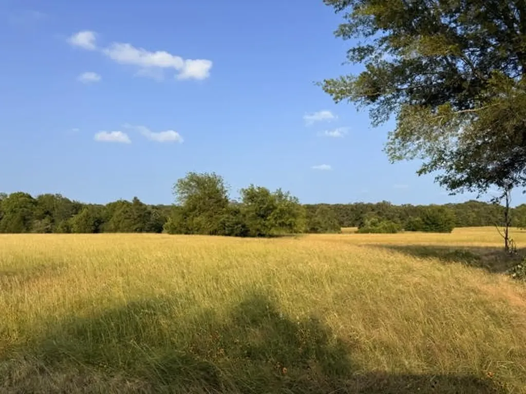 Tbd County Road 2500 Eustace TX 75124