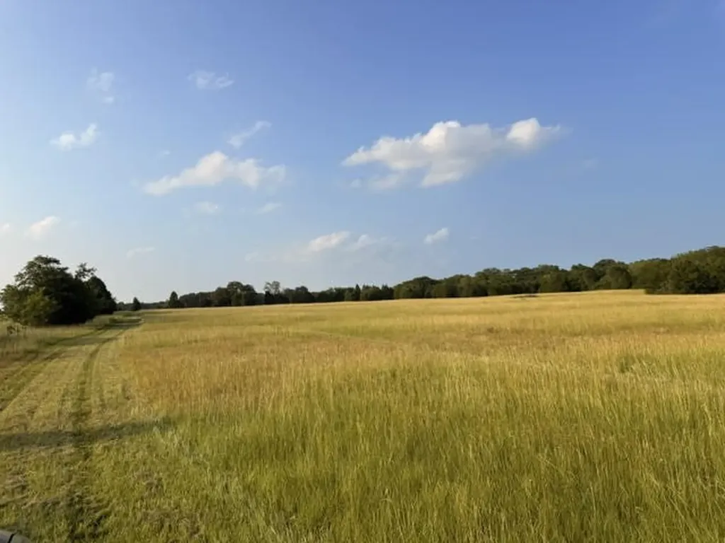 Tbd County Road 2500 Eustace TX 75124
