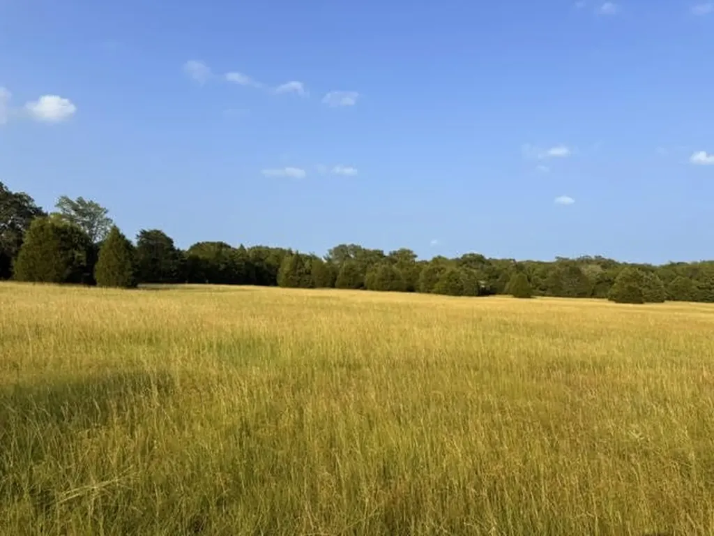 Tbd County Road 2500 Eustace TX 75124