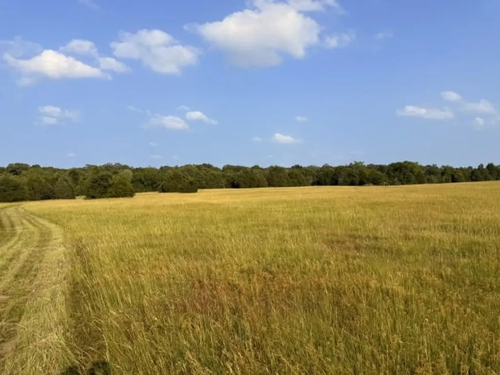 Tbd County Road 2500 Eustace TX 75124
