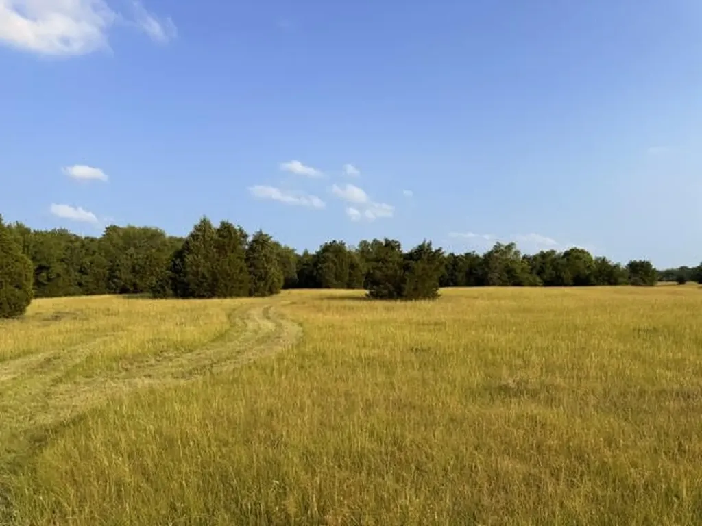 Tbd County Road 2500 Eustace TX 75124