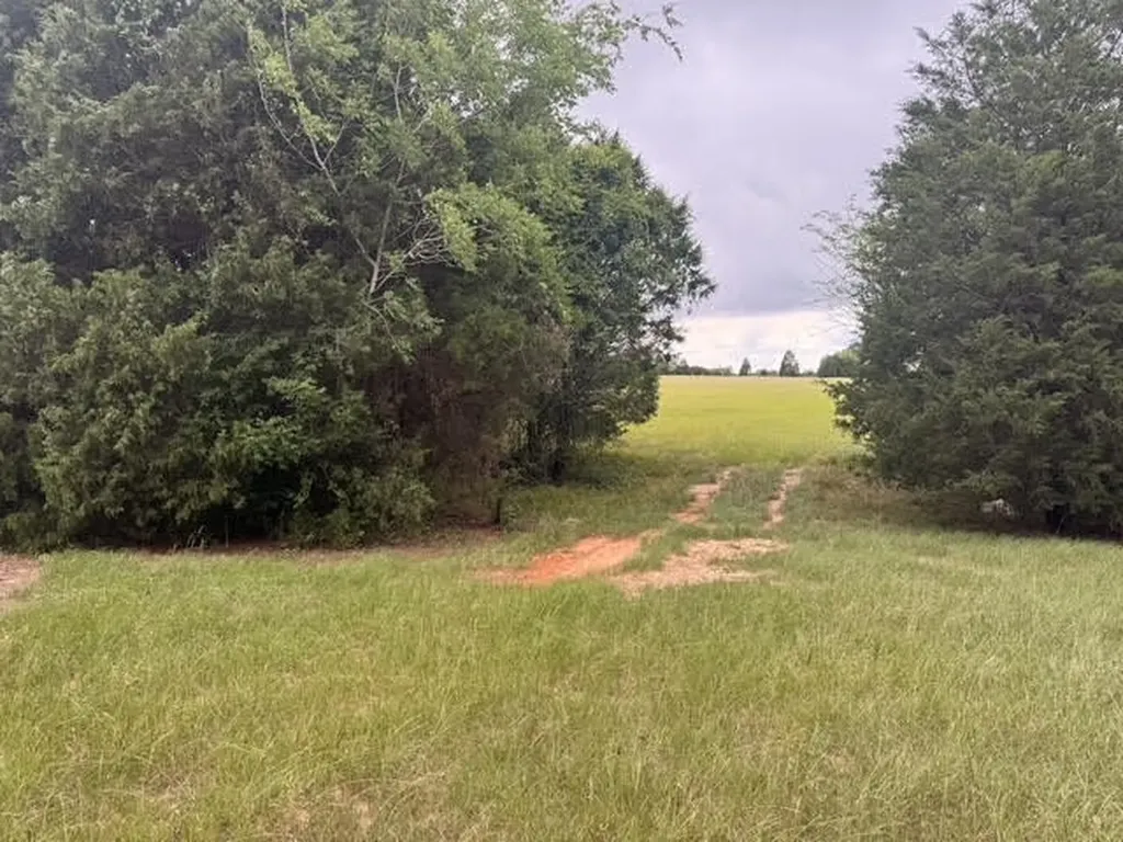 Tbd County Road 2500 Eustace TX 75124