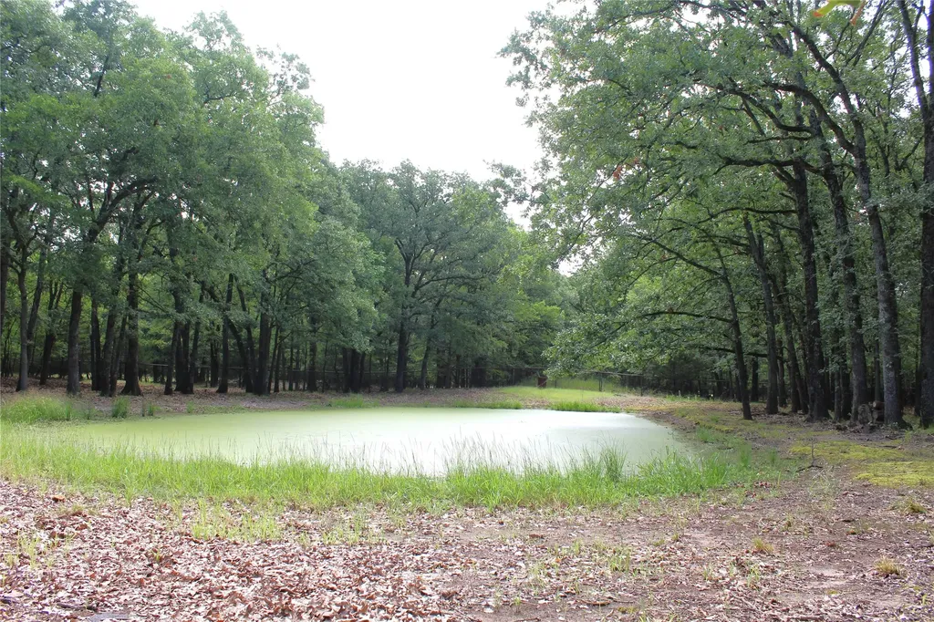 1204 Red Hawk Bay Drive West Tawakoni TX 75474