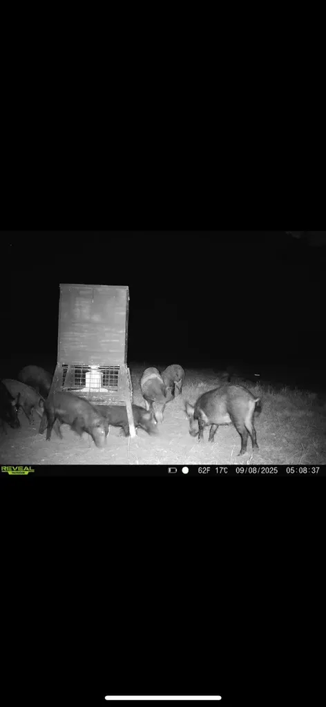 0 Vz County Road 2432 Canton TX 75103