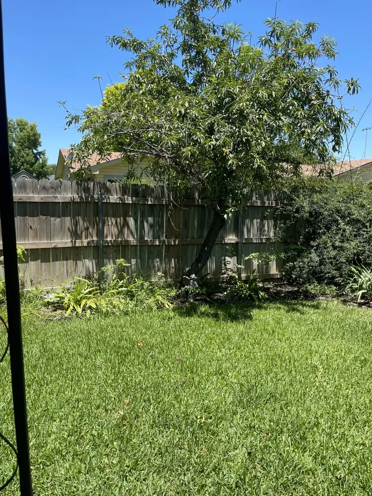 144 Azalea Drive Brownwood TX 76801