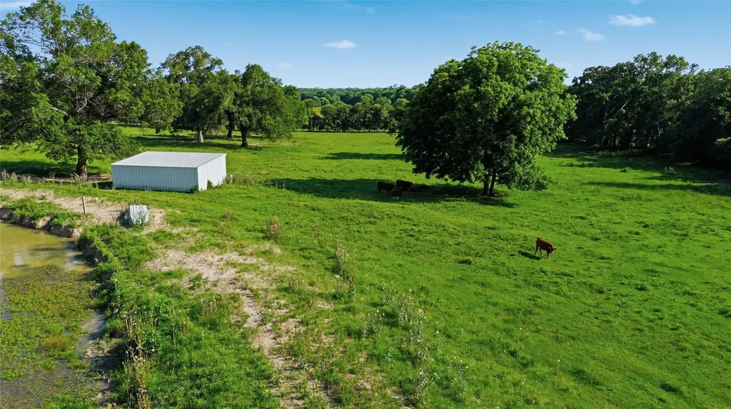 500 County Road 1300 Lake Creek TX 75450